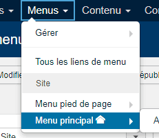 créer un nouvel élément de menu à cacher
